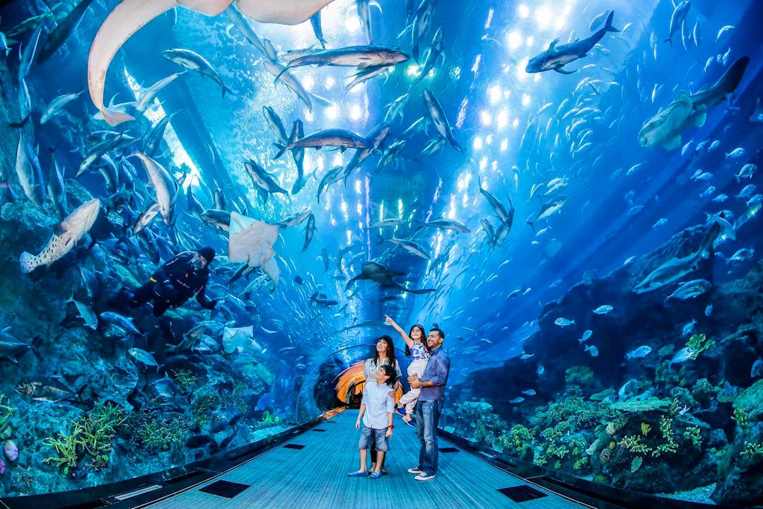 Dubai Explorer Pass : Choose 3 ,5 to 7 Attractions Ticket